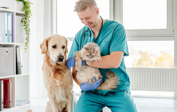 Ethan Barrett with Gus and Mochi in Denver