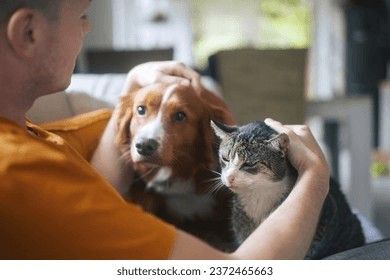 The Real Way to Calculate Dog Years (Not ×7)