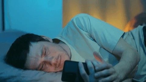 The 2 AM Google Spiral: Every Pet Owner's Ritual — PetCalCentral